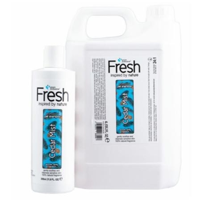 Picture of Groom Professional Fresh Cedar Mist Shampoo